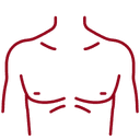Male Chest (Pseudogynecomastia)