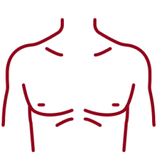 Chest