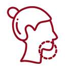 Orbicularis Oris Muscle