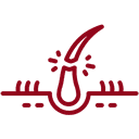 Thinning Hair & Shedding