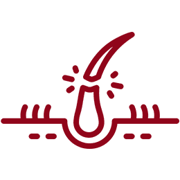 Thinning Hair & Shedding