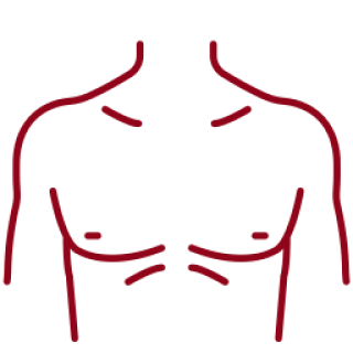 Male Chest
(Pseudogynecomastia)